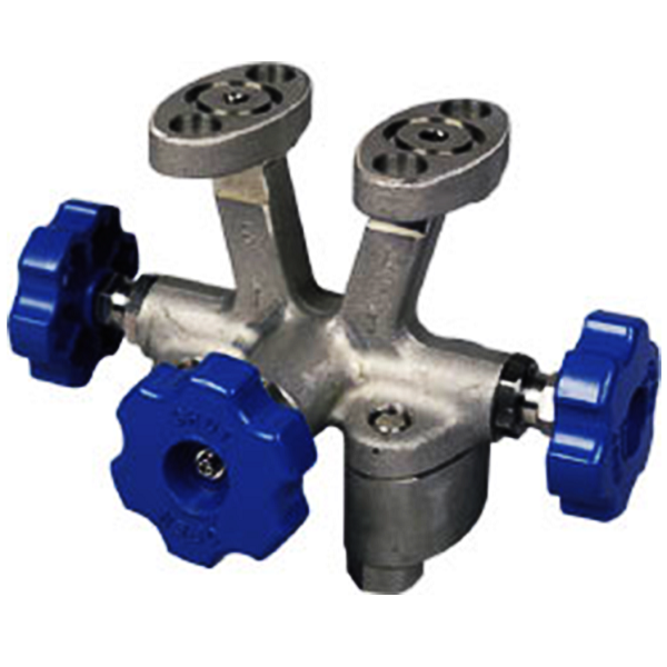 FFN3GV03-Y3 Fuji Electric Equalizing Valve, Oval Flange
