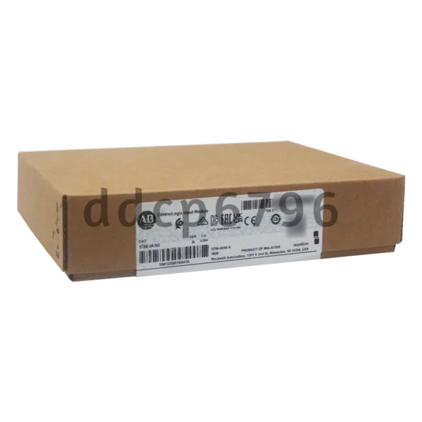 2024-2025New 2024-2025New